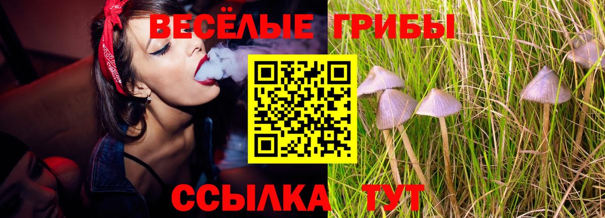 Воскресенск  Галлюциногенные грибы Psilocybine cubensis  купить наркотик  Вход с VPN  Псилоцибиновые грибы MAGIC MUSHROOMS 